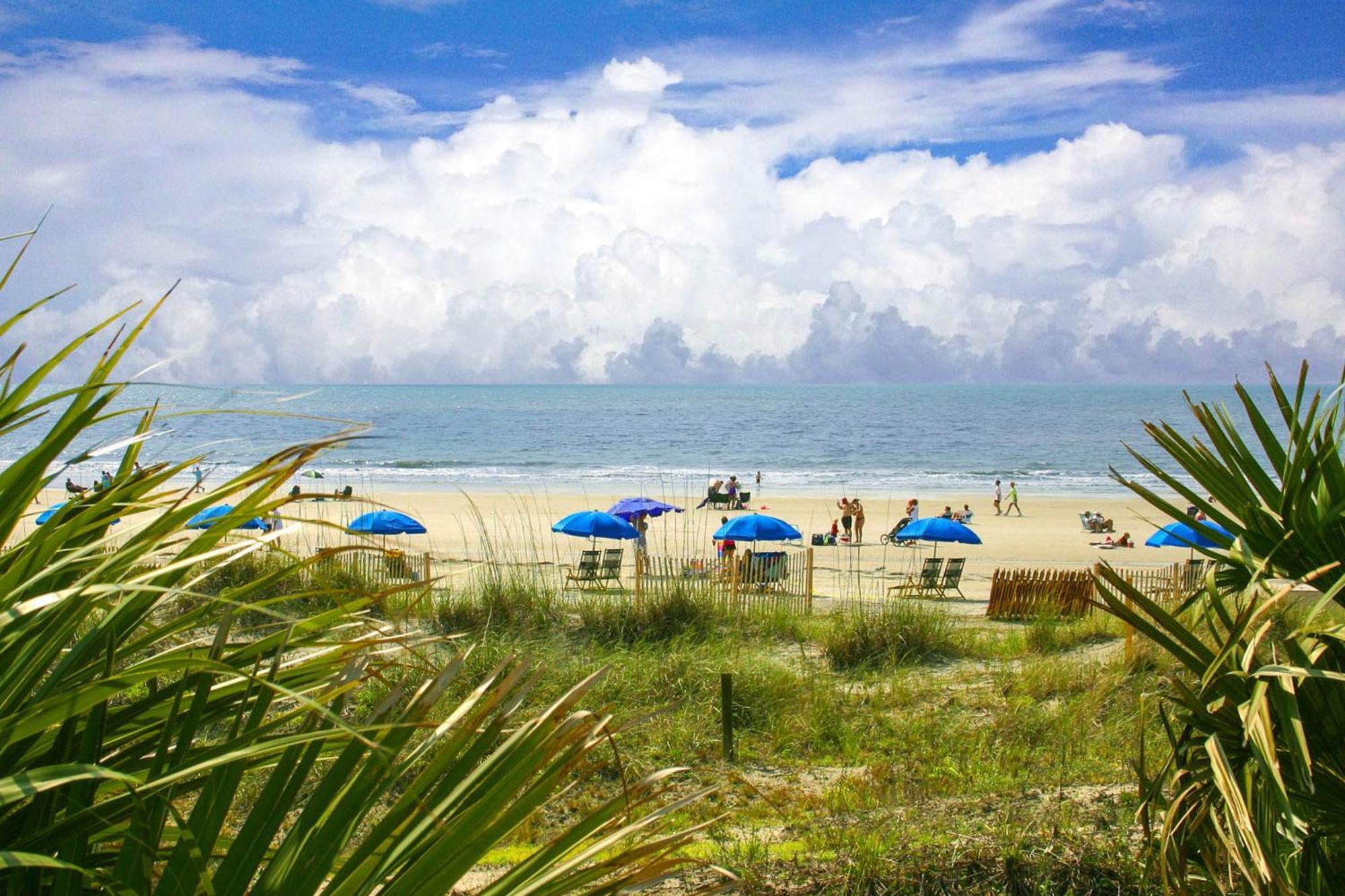 Apartmán St. Andrews Common 1867 Hilton Head Island Exteriér fotografie